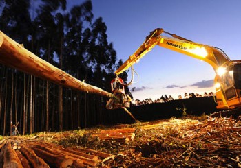 Suzano deve adquirir florestas da Eco Brasil por R$ 400 mi